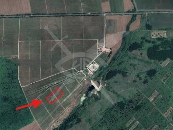 Парцел в Първомай - 1500 кв.м за 2 €/кв.м - Снимка #1