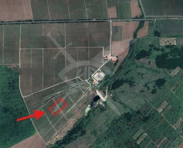 Парцел в Първомай - 1500 кв.м за 2 €/кв.м - Снимка #1