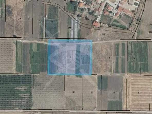 Парцел в с. Цалапица, Област Пловдив - 9447 кв.м за 5 €/кв.м - Снимка #1