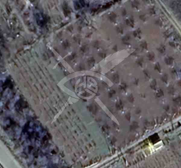 Земеделски имот в Айтос -  кв.м за 9350 €/дка - Снимка #1