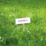 Парцел в с. Царацово, Област Пловдив - 5000 кв.м за 8 €/кв.м - Снимка #1