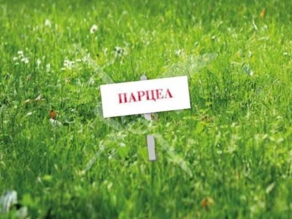 Парцел в с. Царацово, Област Пловдив - 5000 кв.м за 8 €/кв.м - Снимка #1