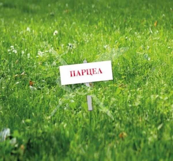 Парцел в с. Царацово, Област Пловдив - 5000 кв.м за 8 €/кв.м - Снимка #1