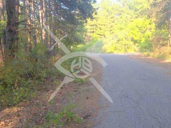 Парцел в с. Марково, Област Пловдив - 2078 кв.м за 21 €/кв.м - Снимка #1