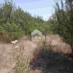 Парцел в Костинброд - 994 кв.м за 80 €/кв.м - Снимка #1