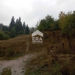 Парцел в Чепеларе - 4127 кв.м за 54 €/кв.м - Снимка #1