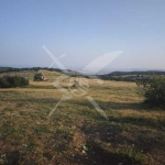 Парцел в с. Кошарица, Област Бургас - 8828 кв.м за 18 €/кв.м - Снимка #1