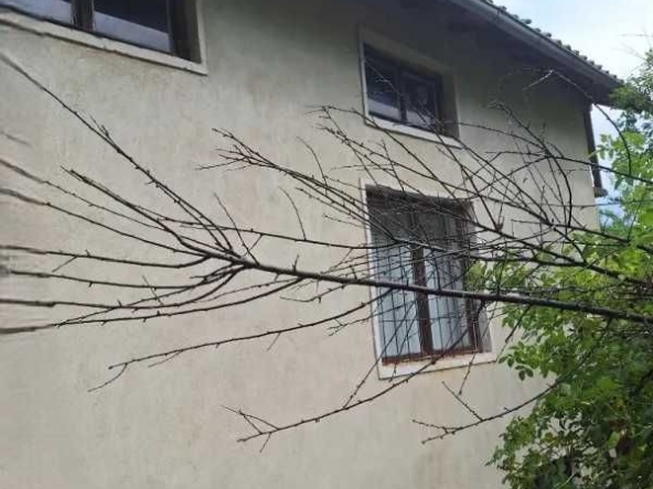 Къща в с. Балканци, Област Добрич - 45 кв.м за 590 €/кв.м - Снимка #1