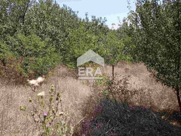 Парцел в Костинброд - 994 кв.м за 41 €/кв.м - Снимка #1