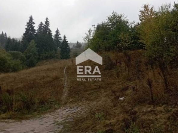 Парцел в Чепеларе - 4127 кв.м за 28 €/кв.м - Снимка #1