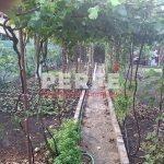 Къща в с. Рудник, Област Бургас - 80 кв.м за 1375 €/кв.м - Снимка #1