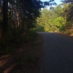 Парцел в с. Марково, Област Пловдив - 2078 кв.м за 11 €/кв.м - Снимка #1