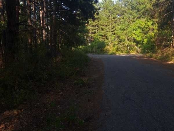 Парцел в с. Марково, Област Пловдив - 2078 кв.м за 11 €/кв.м - Снимка #1