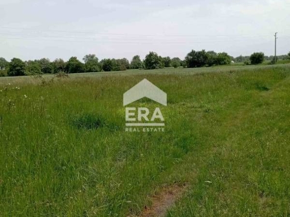 Парцел в с. Житен, Област София-град - 3167 кв.м за 89 €/кв.м - Снимка #1