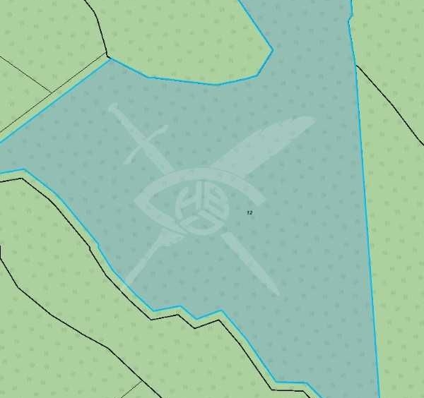 Парцел в с. Голямо Буково, Област Бургас - 21099 кв.м за 1 €/кв.м - Снимка #1