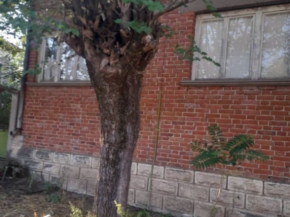 Къща в с. Галиче, Област Враца - 100 кв.м за 152 €/кв.м - Снимка #1