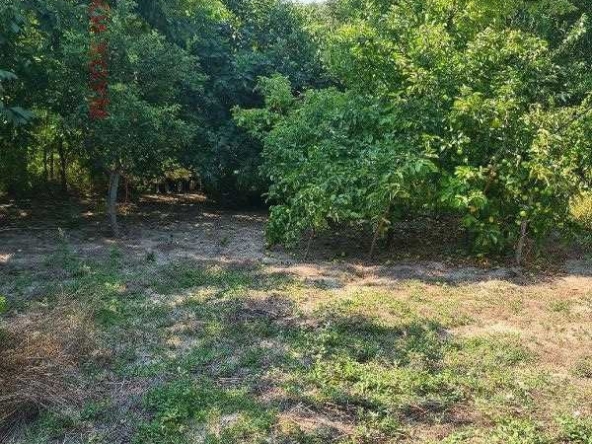 Къща в с. Доброглед, Област Варна - 70 кв.м за 423 €/кв.м - Снимка #1