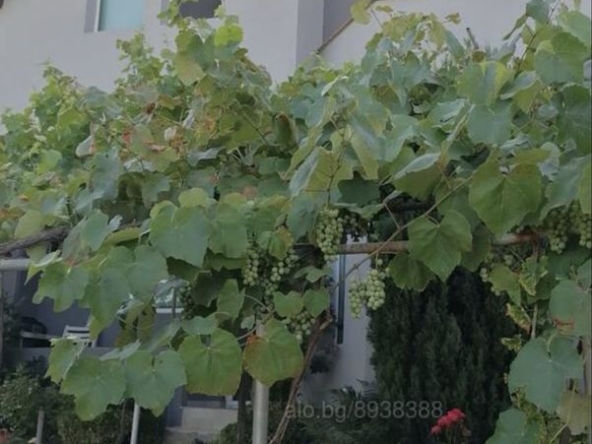 Къща в с. Стоб, Област Кюстендил - 115 кв.м за 577 €/кв.м - Снимка #1