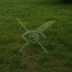 Парцел в Пловдив, Прослав - 8333 кв.м за 15 €/кв.м - Снимка #1