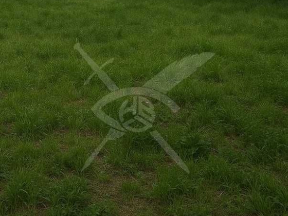 Парцел в Пловдив, Прослав - 8333 кв.м за 15 €/кв.м - Снимка #1