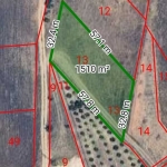 Парцел в с. Рилци, Област Благоевград - 1510 кв.м за 36 €/кв.м - Снимка #1