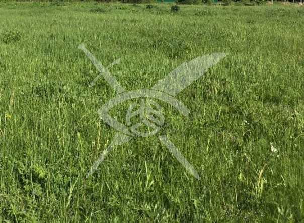 Парцел в с. Брестник, Област Пловдив - 692 кв.м за 95 €/кв.м - Снимка #1