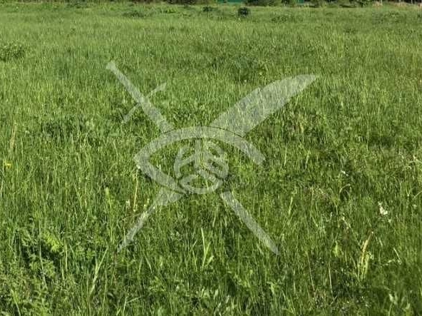 Парцел в Куклен - 1520 кв.м за 93 €/кв.м - Снимка #1