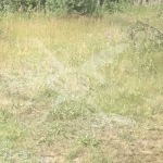 Парцел в Куклен - 2100 кв.м за 10 €/кв.м - Снимка #1