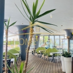 Заведение в Варна, Гръцка махала - 240 кв.м за 750 €/кв.м - Снимка #1