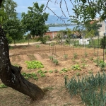 Къща в Враца, Дъбника - 26 кв.м за 1693 €/кв.м - Снимка #1