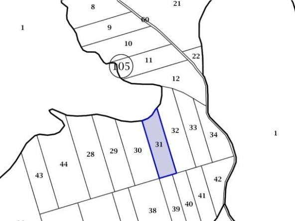 Земеделски имот в с. Осеново, Област Варна -  кв.м за 6 €/дка - Снимка #1