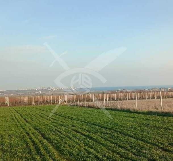 Парцел в с. Кошарица, Област Бургас - 3500 кв.м за 17 €/кв.м - Снимка #1