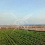 Парцел в Созопол - 559 кв.м за 70 €/кв.м - Снимка #1