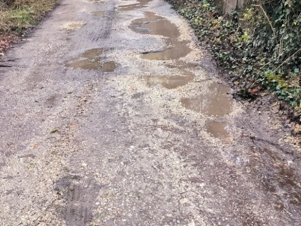 Парцел в с. Дивотино, Област Перник - 515 кв.м за 43 €/кв.м - Снимка #1