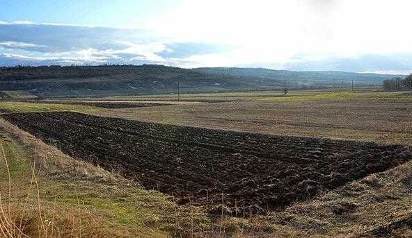 Земеделски имот в с. Ситово, Област Силистра -  кв.м за 164 €/дка - Снимка #1