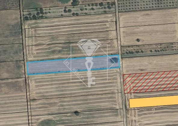 Парцел в Пловдив, Индустриална зона - Юг - 4912 кв.м за 59 €/кв.м - Снимка #1