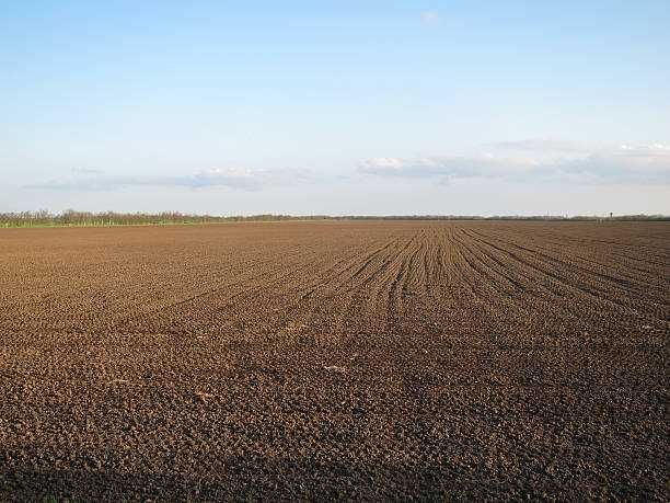 Земеделски имот в с. Чернолик, Област Силистра -  кв.м за 153 €/дка - Снимка #1