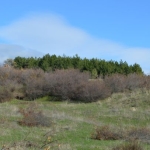 Парцел в с. Богомилово, Област Стара Загора - 520 кв.м за 37 €/кв.м - Снимка #1