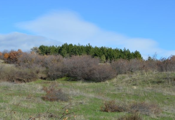 Парцел в с. Богомилово, Област Стара Загора - 520 кв.м за 37 €/кв.м - Снимка #1