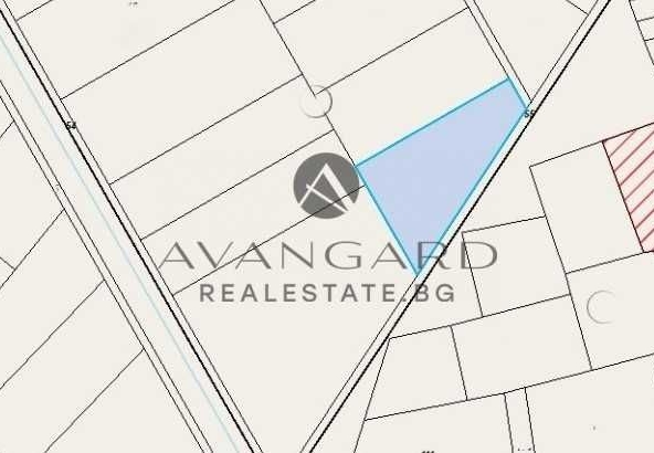 Парцел в с. Бенковски, Област Пловдив - 3501 кв.м за 6 €/кв.м - Снимка #1