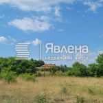 Парцел в с. Светлина, Област Бургас - 3380 кв.м за 11 €/кв.м - Снимка #1