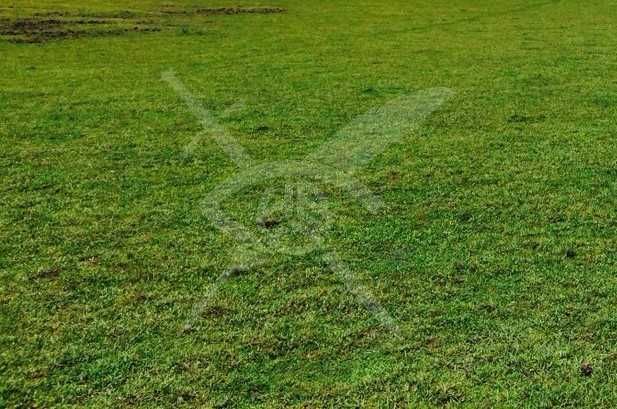 Парцел в с. Козаново, Област Пловдив - 2600 кв.м за 6 €/кв.м - Снимка #1