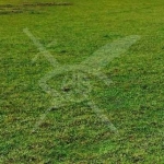 Парцел в с. Козаново, Област Пловдив - 2600 кв.м за 11 €/кв.м - Снимка #1