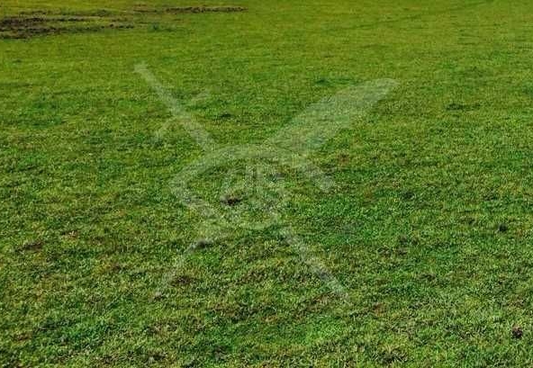 Парцел в с. Козаново, Област Пловдив - 2600 кв.м за 11 €/кв.м - Снимка #1