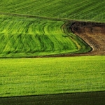 Земеделски имот в с. Бацова махала, Област Плевен -  кв.м за 243 €/дка - Снимка #1