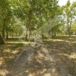 Парцел в с. Златитрап, Област Пловдив - 5700 кв.м за 30 €/кв.м - Снимка #1