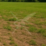 Парцел в с. Войводиново, Област Пловдив - 8081 кв.м за 47 €/кв.м - Снимка #1