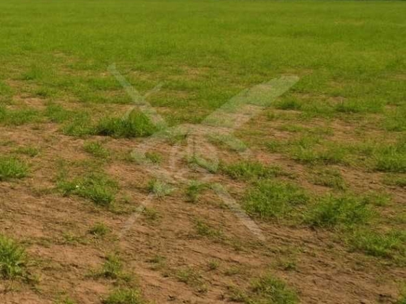 Парцел в с. Войводиново, Област Пловдив - 8081 кв.м за 47 €/кв.м - Снимка #1