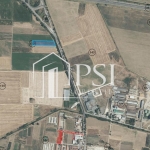 Парцел в с. Цалапица, Област Пловдив - 6300 кв.м за 25 €/кв.м - Снимка #1