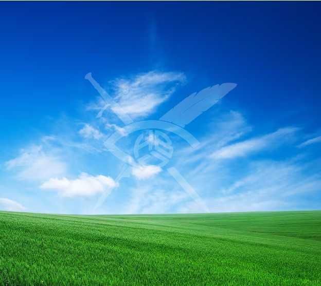 Парцел в с. Равнец, Област Бургас - 8500 кв.м за 2 €/кв.м - Снимка #1